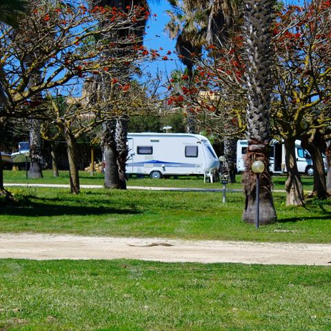 EMPLACEMENT - Camping Car