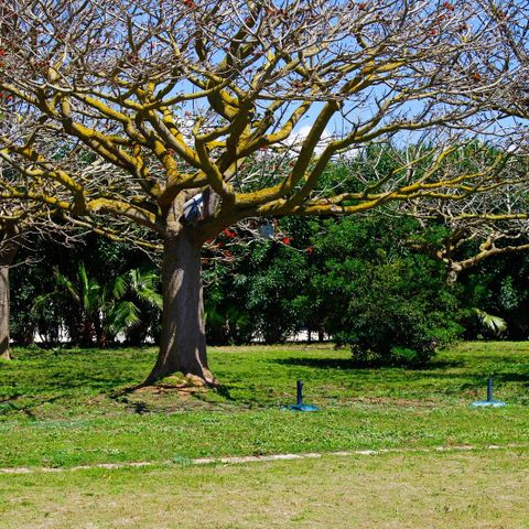 Stellplatz - Kleines Zelt