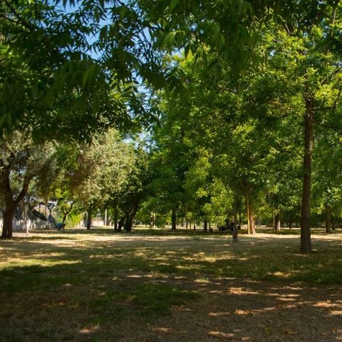 Stellplatz - Stellplatz