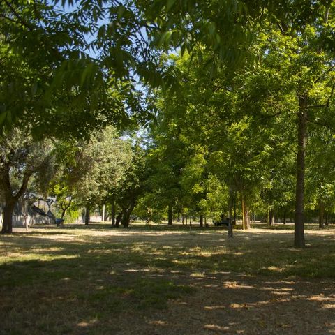 Almoetia Camping  - Camping Catania - Afbeelding N°6