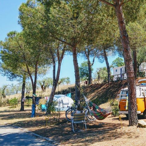 Pitch - Caravan 1/6 pers.