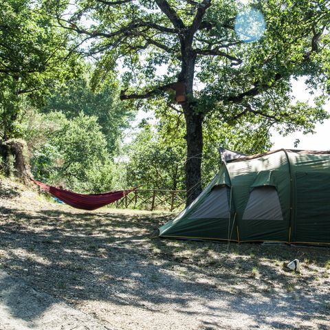 Pitch - Standard tent