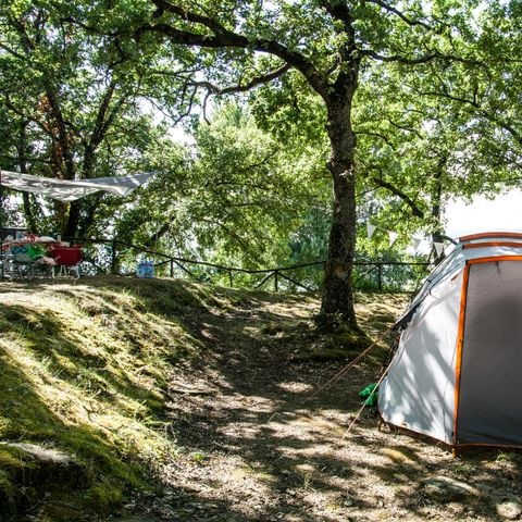 Pitch - Standard tent