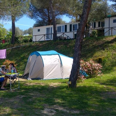 EMPLACEMENT - Tente standard