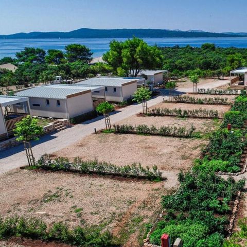 Camping Ugljan Camping Ugljan - Camping Zadar - Image N°21