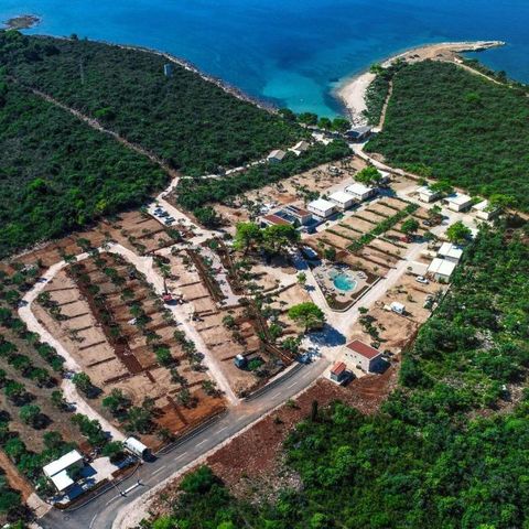 Camping Ugljan Camping Ugljan - Camping Zadar - Image N°18