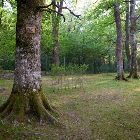 Kampeerplaats - Locatie Larri