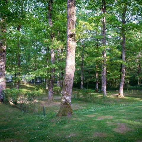 Kampeerplaats - Locatie Larri