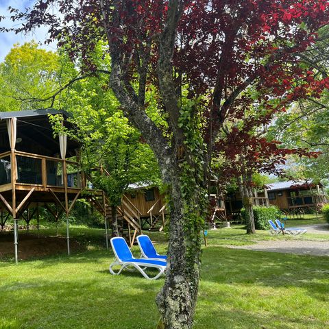 LODGE 6 persone - ECOLODGE PREMIUM 4/6 PERS
