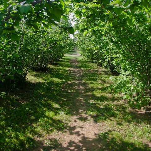 STAANPLAATS - LOCATIE