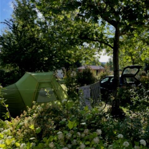 Stellplatz - Nomadischer Standort