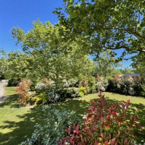 PARCELA - Localización de nómadas