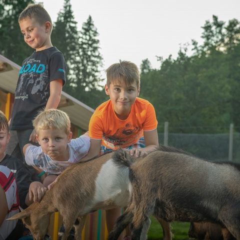 Kleinenzhof Family Resort - Camping Baden-Wurtemberg - Image N°4