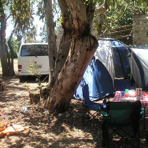 PLOT - Pitch for small tent