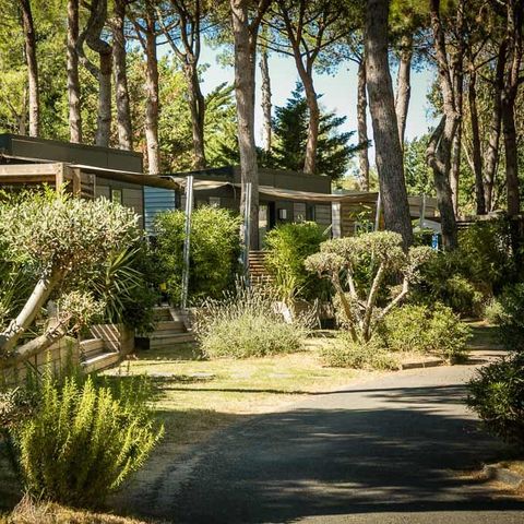 MOBILHOME 4 personnes - SUNÊLIA PRESTIGE DECLIK