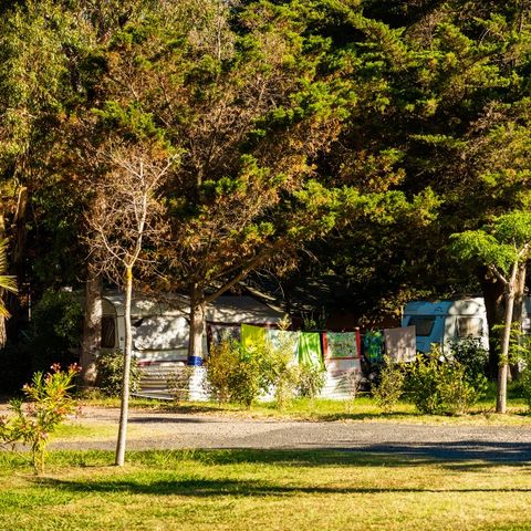 PARCELA - Estándar clásico