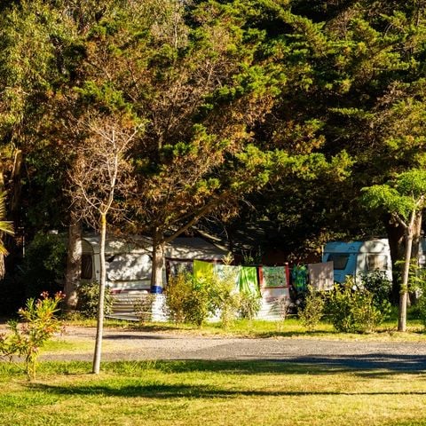 Pitch - Classic Standard