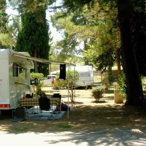 Pitch - COMFORT Standard