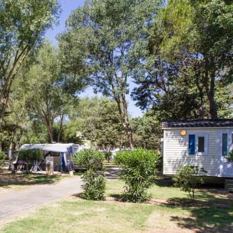 PARCELA - GRAN CONFORT Estándar