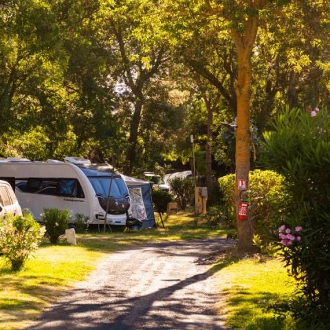 Stellplatz - KOMFORT Standard