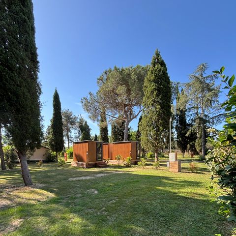 PIAZZOLA - PIAZZOLA SANITARIA INDIVIDUALE PRIVILEGIATA - Novità 2026