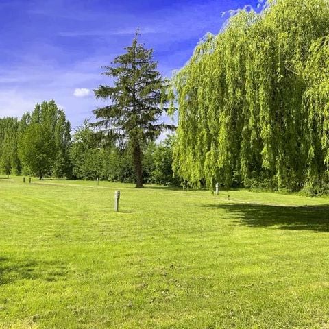 Stellplatz - (Wohnwagen oder Wohnmobil / 1 Auto + 1 Zelt) + Strom