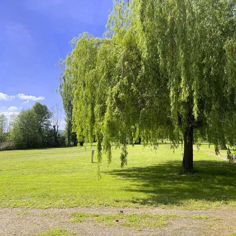 Camping Ile d'Amour - Camping Yonne - Image N°4