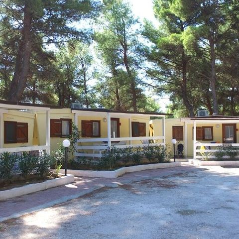 CHALET 4 personas - TV