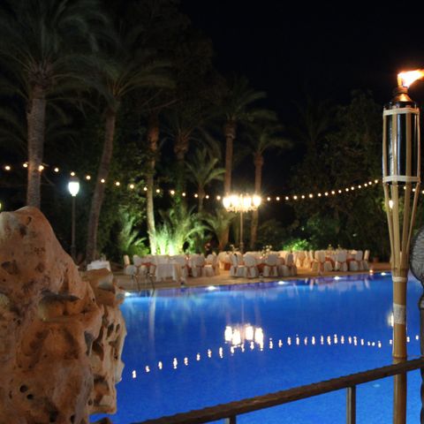 Camping Internacional Las Palmeras Camping Internacional Las Palmeras - Camping Alicante - Image N°2