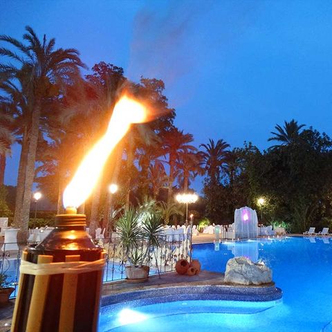 Camping Internacional Las Palmeras Camping Internacional Las Palmeras - Camping Alicante - Image N°32