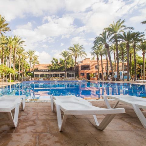 Camping Internacional Las Palmeras Camping Internacional Las Palmeras - Camping Alicante - Image N°16