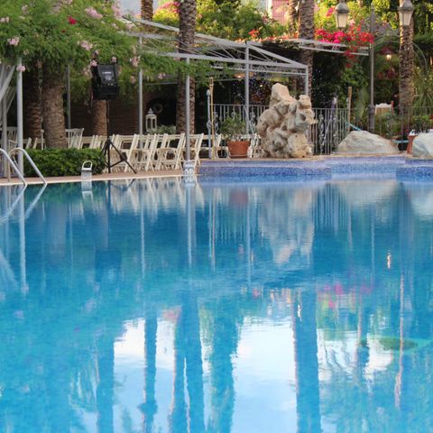 Camping Internacional Las Palmeras Camping Internacional Las Palmeras - Camping Alicante