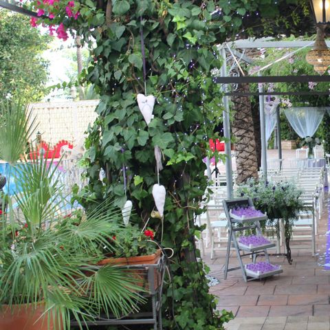 Camping Internacional Las Palmeras Camping Internacional Las Palmeras - Camping Alicante - Image N°7