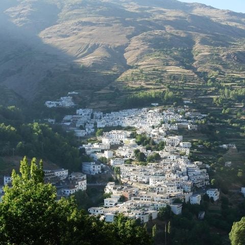 PARCELA - tienda grande