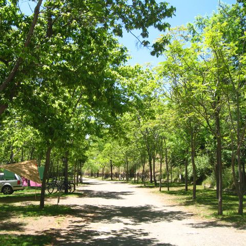 CARAVANE 4 personnes - Camping car intégral Dethleffs