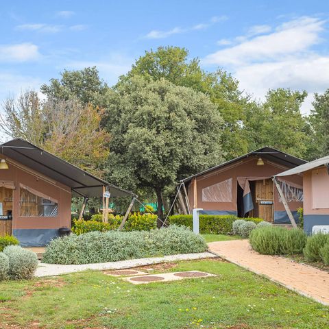 Tente en toile et en bois 6 personnes - Tente Safari Lodge (6P)