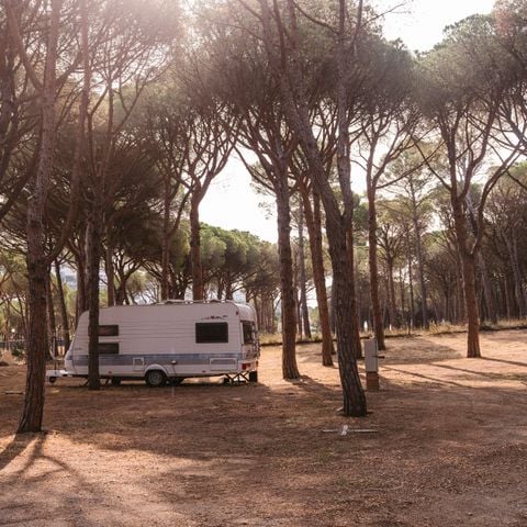 Pitch - PLUS pitch for motorhomes (Tents not permitted)