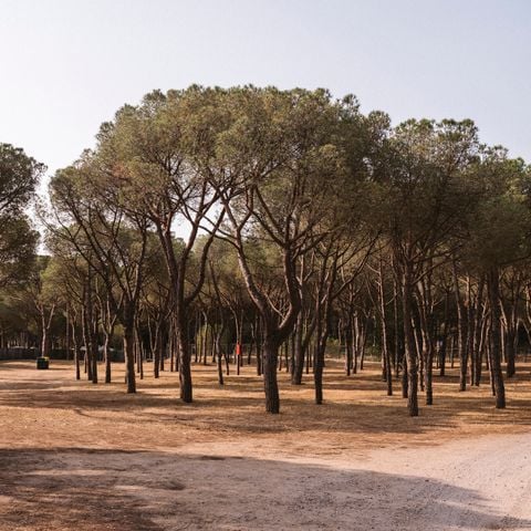 STAANPLAATS - PLUS standplaats voor campers