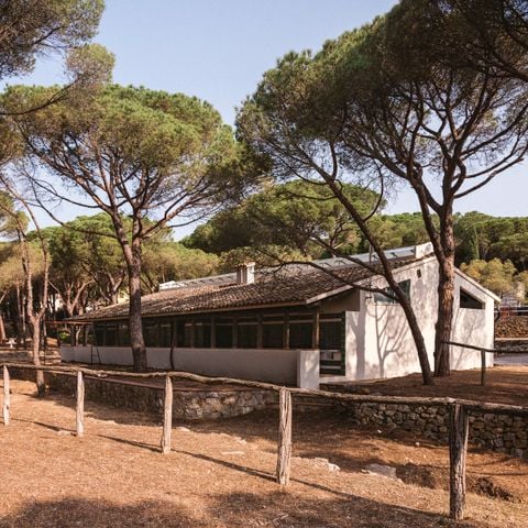 EMPLACEMENT - Emplacement PLUS pour camping-car