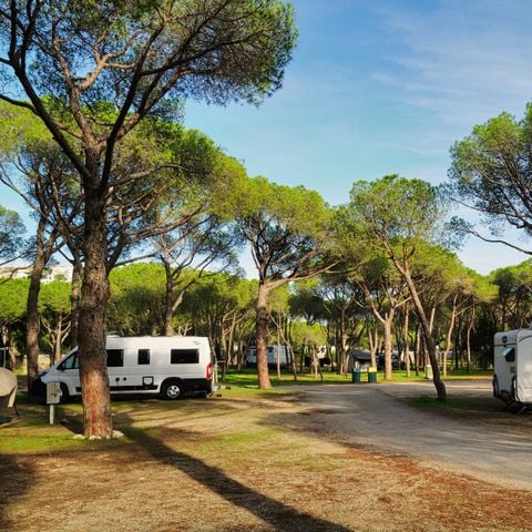 EMPLACEMENT - Emplacement de camping