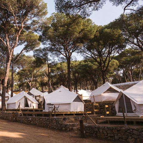 TENDA IN TELA E LEGNO 3 persone - Tenda a campana Plus