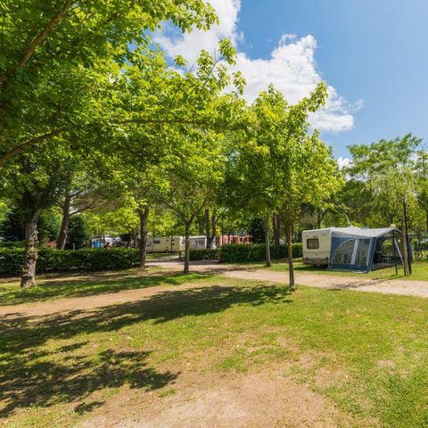 Kampeerplaats - Standaardplaats voor caravan, camper en tent (basispakket voor 2 personen)