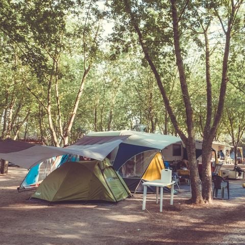 Stellplatz - Typ B - 6 Personen