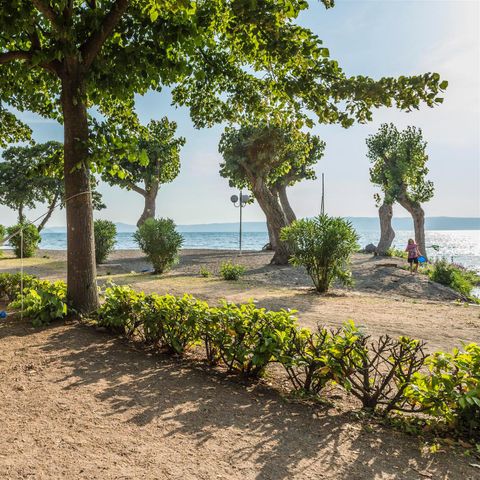 PARCELA - Tipo B - 2 personas