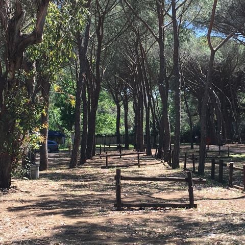 PIAZZOLA - Piazzola COMFORT per caravan, auto da campeggio