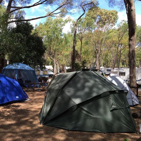 STAANPLAATS - Standplaats Tent 2 plaatsen (2X2)