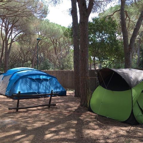 Kampeerplaats - Tent