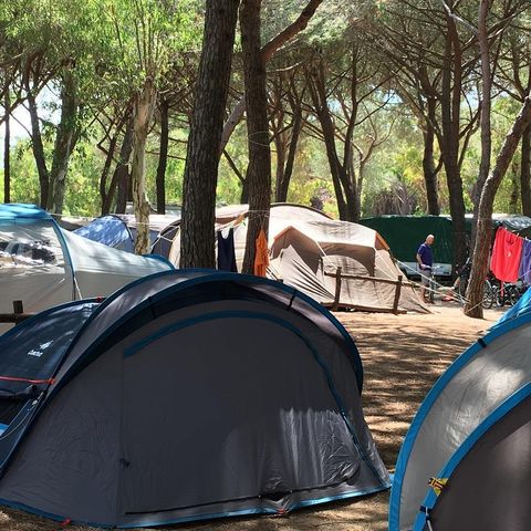 Kampeerplaats - Tent
