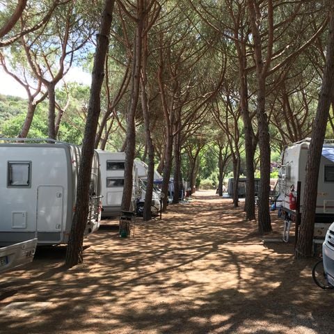 PIAZZOLA - per caravan