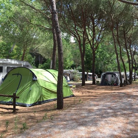 PIAZZOLA - per Tenda-rimorchio, caravan, autobus